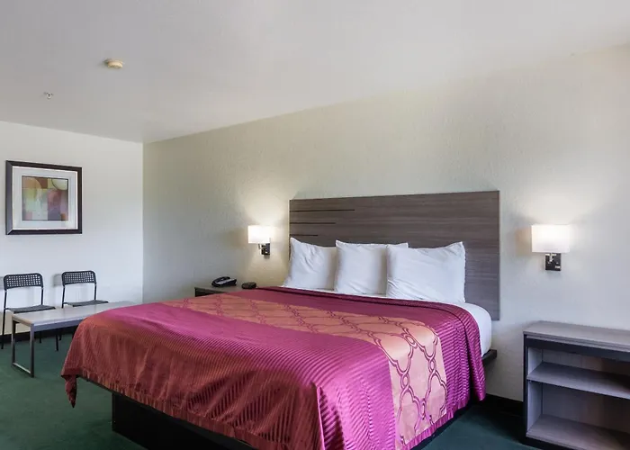 Oyo Inn & Suites Medical Center San Antonio